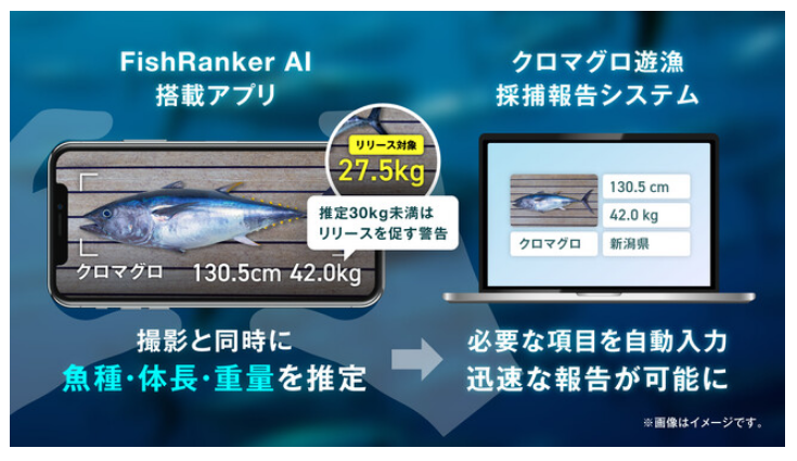 FishRanker（フィッシュランカー）